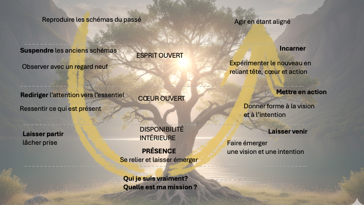 U therorie Francais